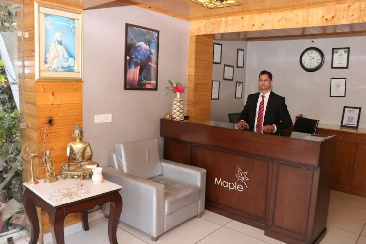 Maple Resort Chail