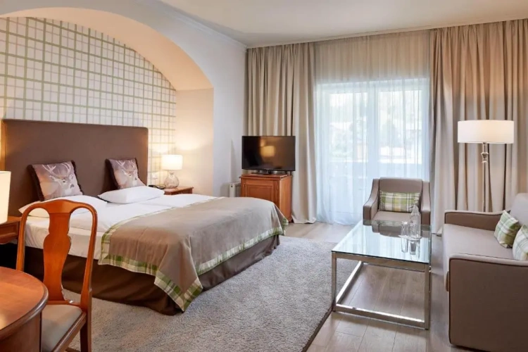 Standard Double room with balcony and with view