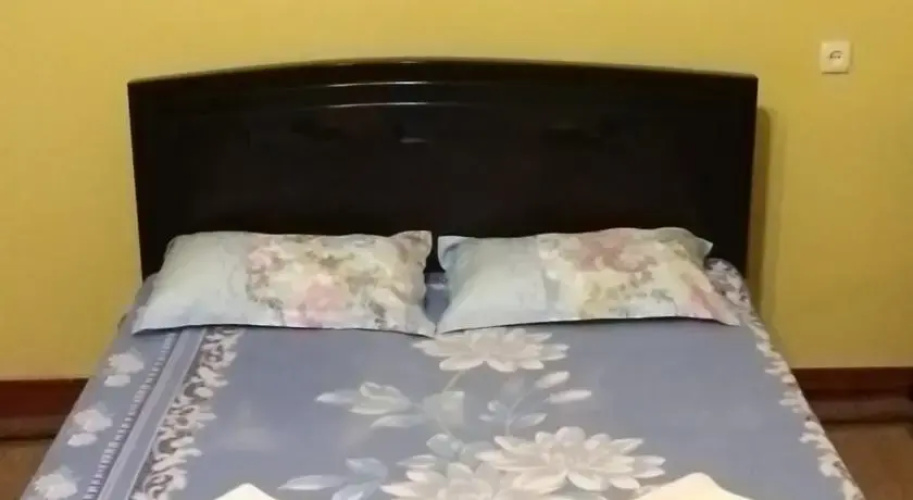 Apartment Mziia
