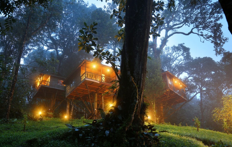 Cottage