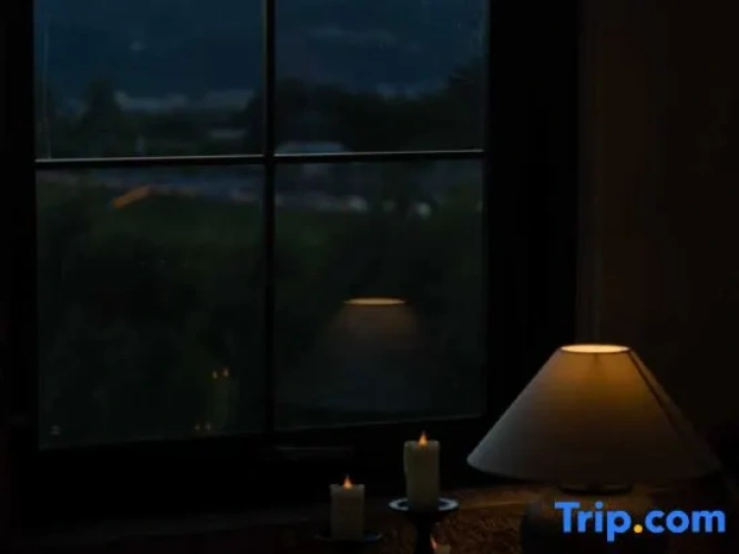 Comfort Suite