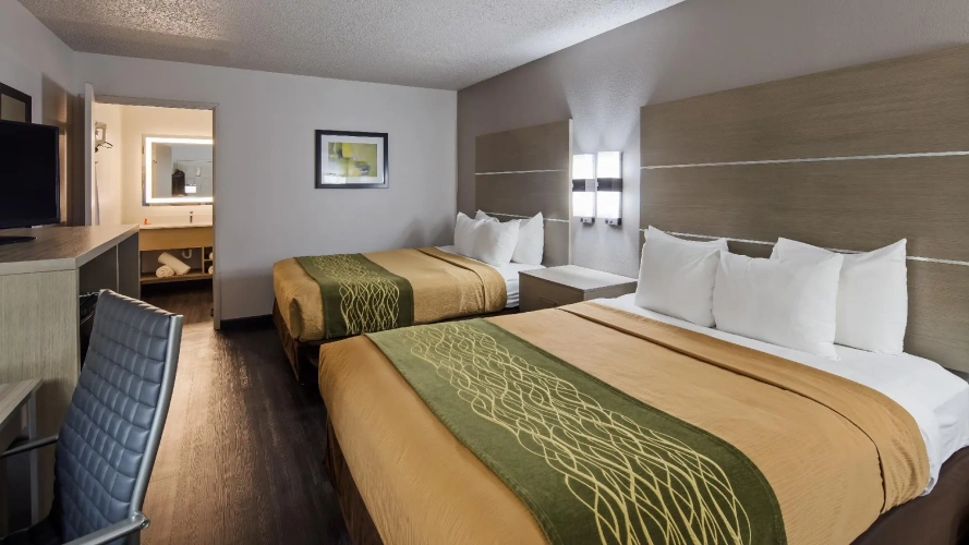 Twin Suite