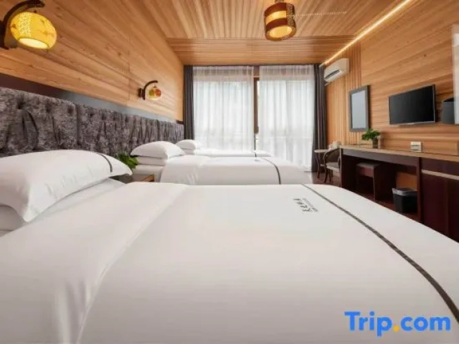 Deluxe Triple room