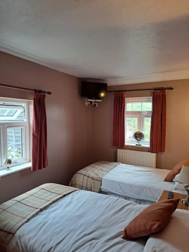 Standard Twin room with garden view