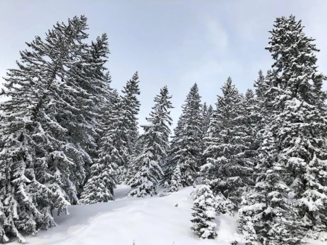 Hotel Mondschein & Chalet Mondschein