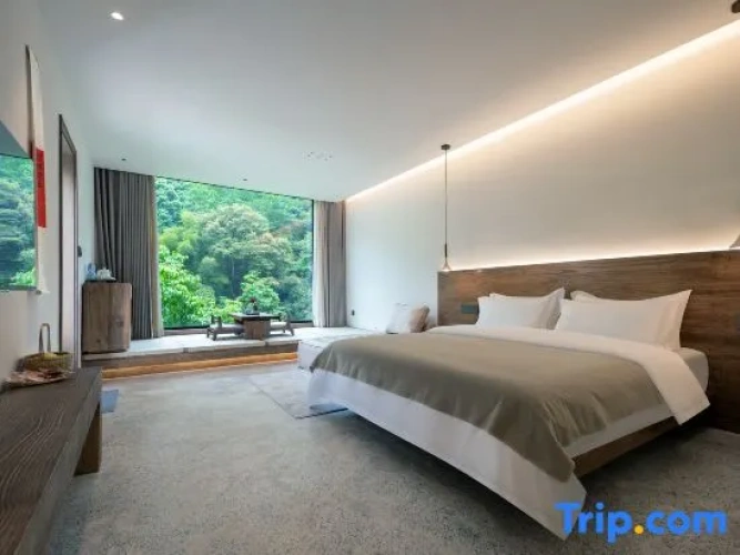 Standard Double room with view