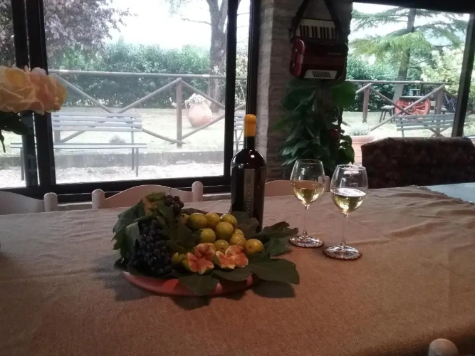 1 Bedroom Apartment with garden view