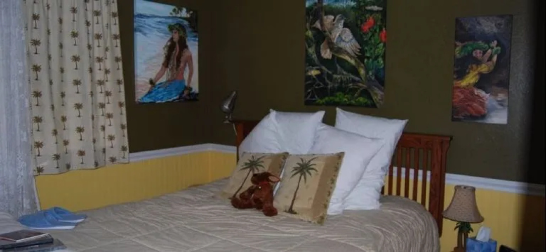 Volcano Artist Cottage