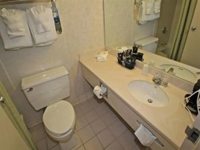 Superior Double room with view