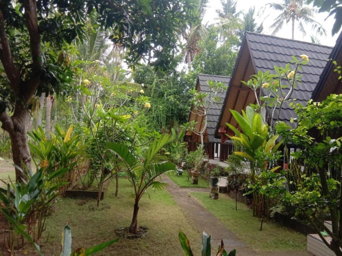 Standard Double room with garden view