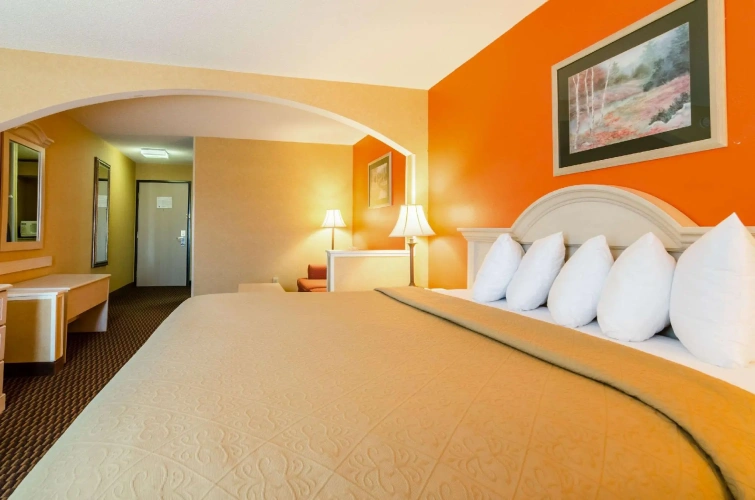 1 Bedroom Suite