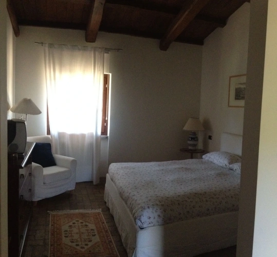 Standard Double room with park view