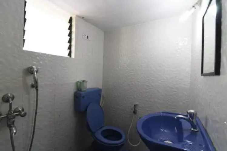 Cactus Guesthouse
