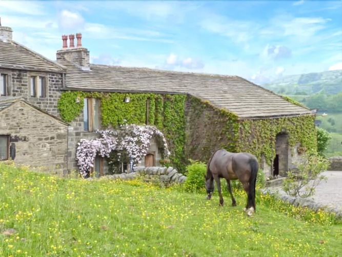 The Stable Cottage