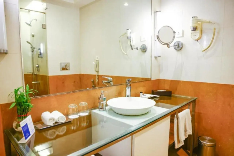 Balaji Sarovar Premiere Solapur