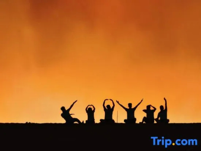 Shapotou Bantuan Camping Camp