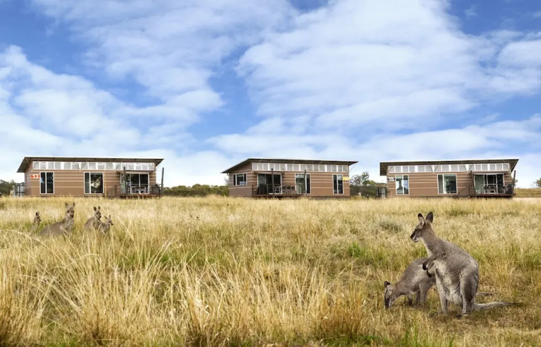 Savannah Cabins