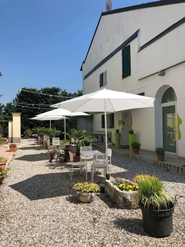 Standard Double room with garden view