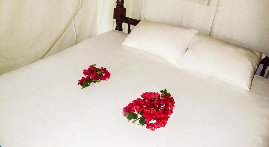 C-Lanka Family Guesthouse