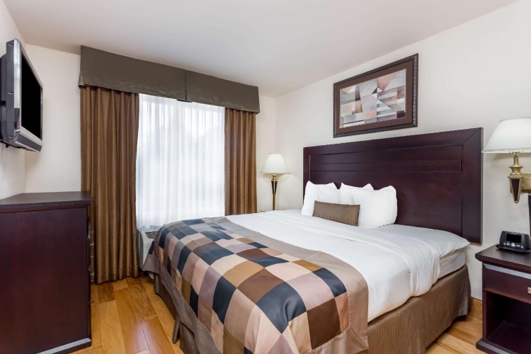 1 Bedroom Double Suite