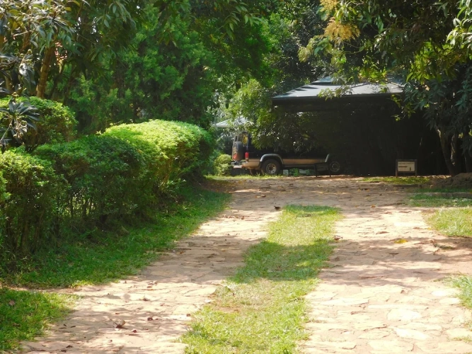 Cottage