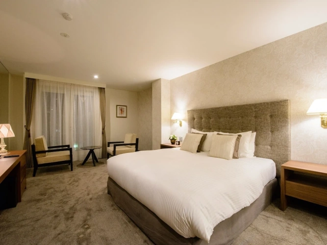 Deluxe Double room with balcony