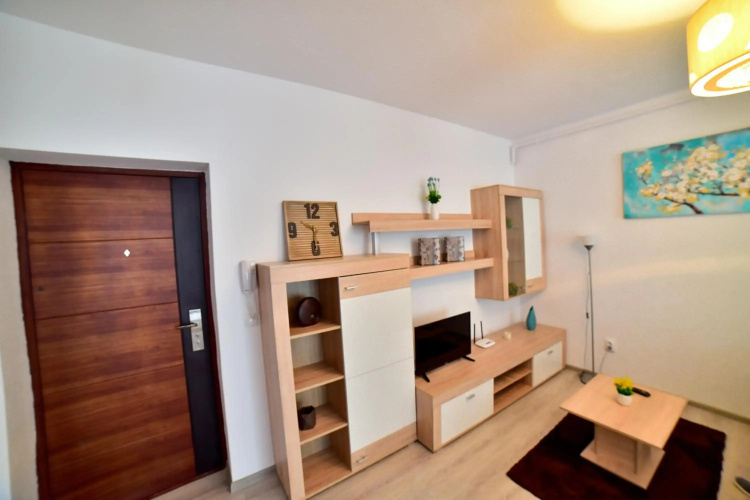 Apartament Central Silva