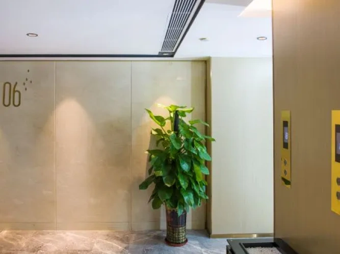Hotel rooms