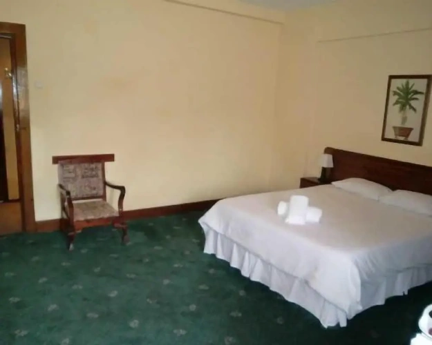 Junior Suite
