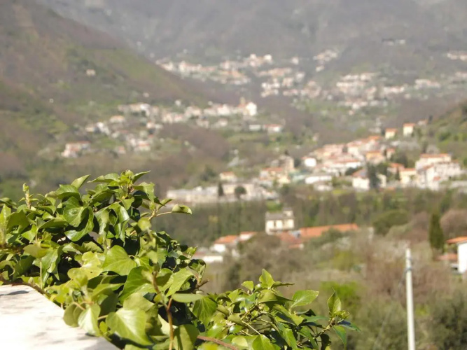 B&B Reale