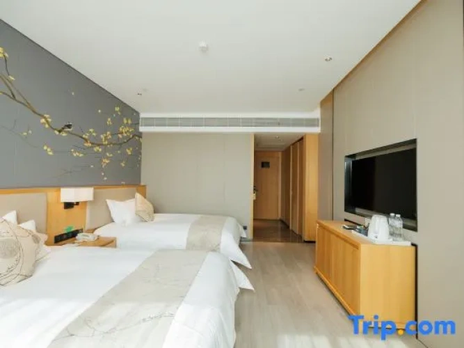 Executive Twin room