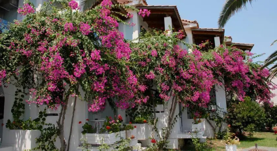 Paradise Hotel
