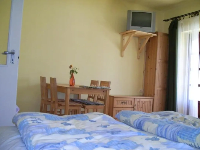 Apartment with garden view