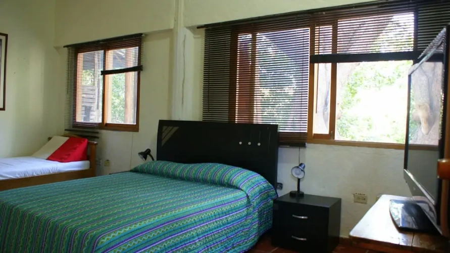 1 Bedroom Classic room with bay view