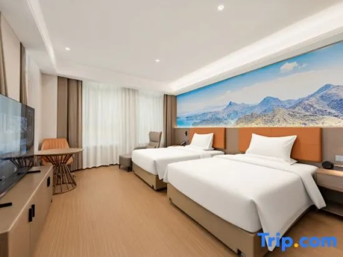 Executive Twin room with city view