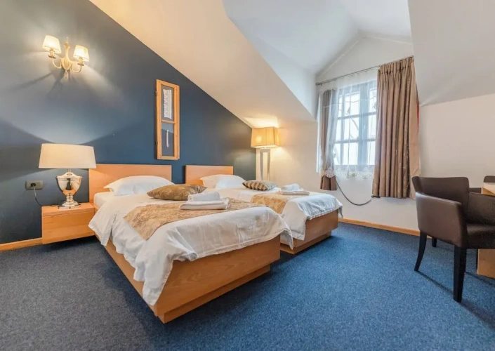 Comfort Twin room with city view