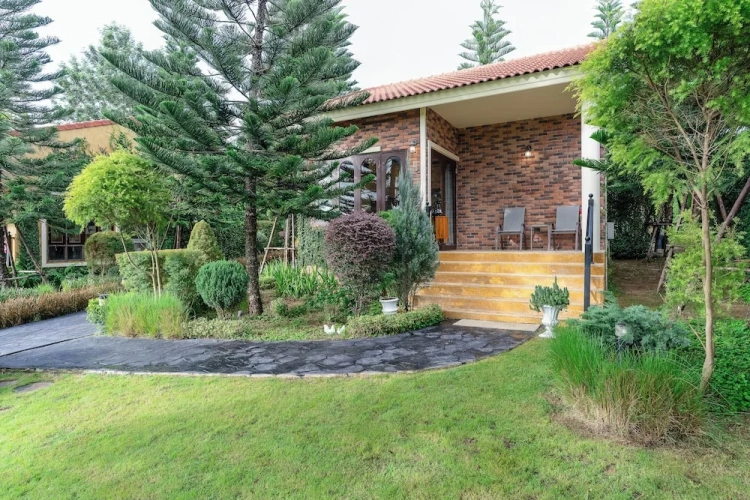 Standard Double room with mountain view