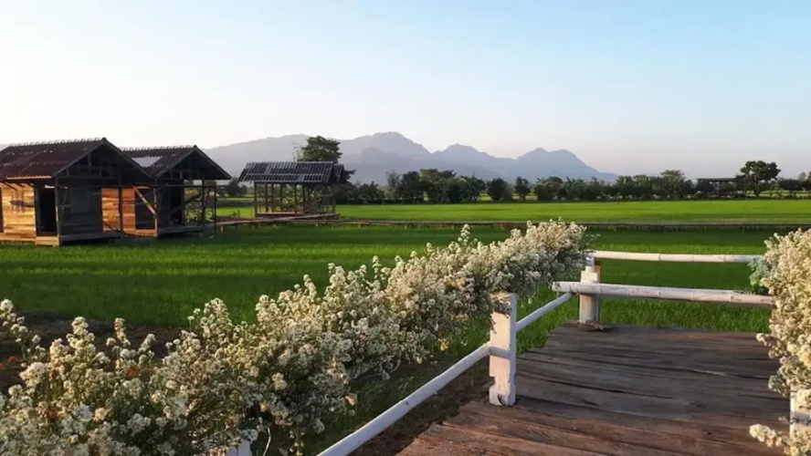 Sanikul Resort