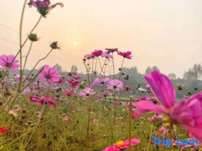Yujingtai Hot Spring Hotel