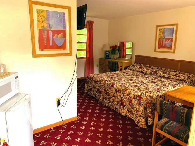 Economy Double Basement room