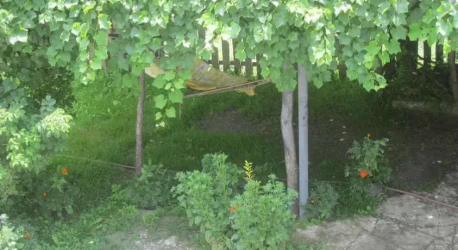 Guest House Latali