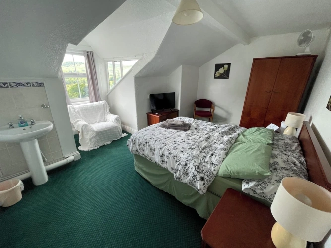 Standard Double room with land view