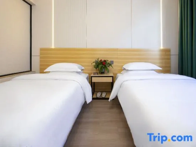 Standard Twin room with view