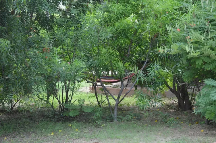 Gîte l'Anacardier
