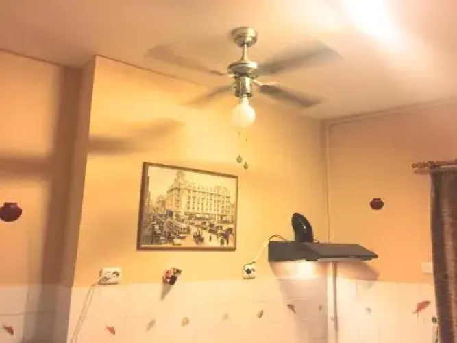 RomPromo Plus Accommodation Ltd - apartments4rent.ro
