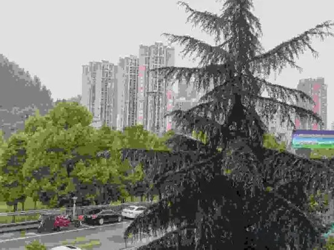 Aiju Business Hotel