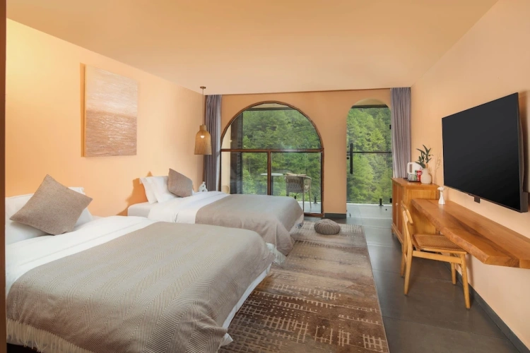 Luxury Twin room with mountain view