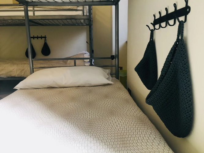 The Beehive Hostel