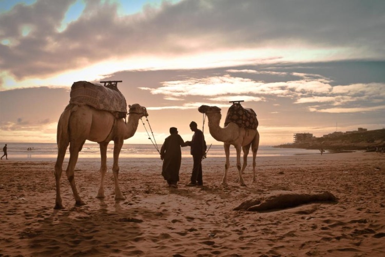 Fairmont Taghazout Bay photo 32