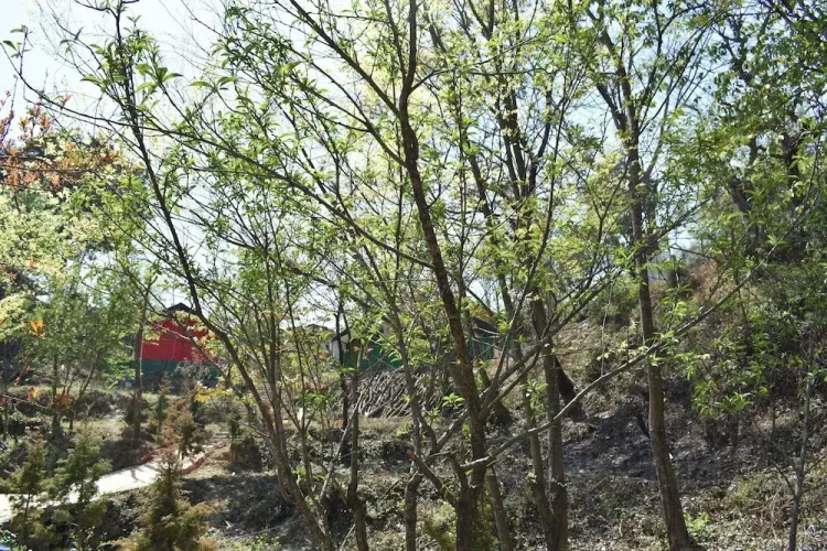 Camp Lagoon and Cottage